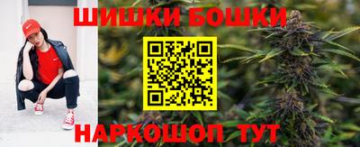 индика Обь