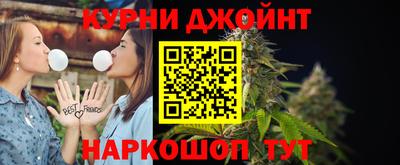 индика Обь