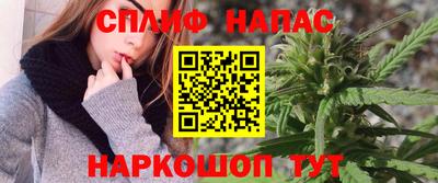 индика Обь