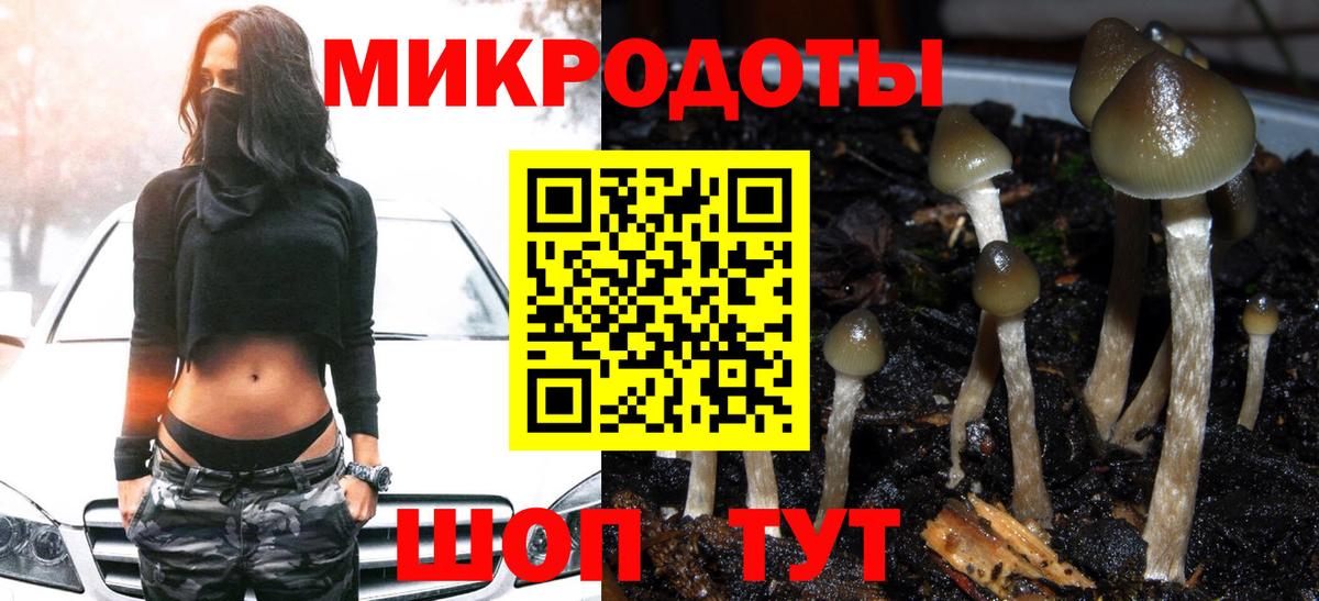 Псилоцибиновые грибы мицелий  Вход с VPN  Унеча 