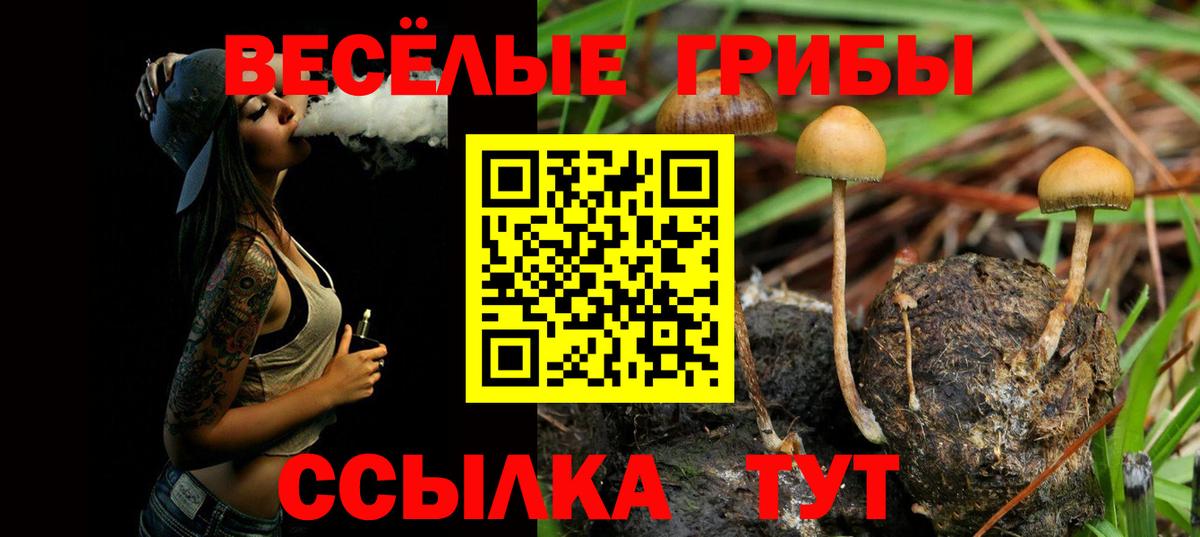 Меф МЯУ МЯУ кристаллы  Alpha PVP СК кристаллы  Унеча  Вход с VPN  Гашиш  Каннабис  Лсд 25 