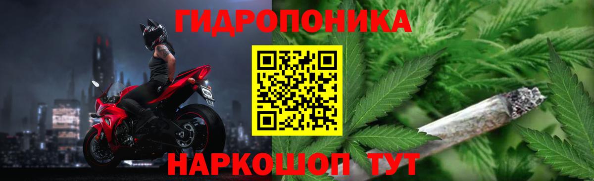 Канабис конопля Унеча